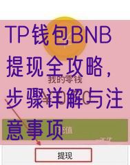 TP钱包BNB提现全攻略，步骤详解与注意事项