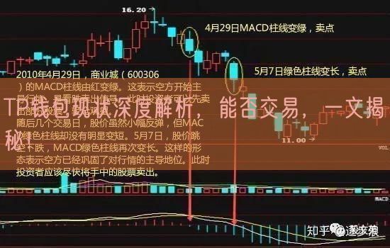 TP钱包现状深度解析，能否交易，一文揭秘！