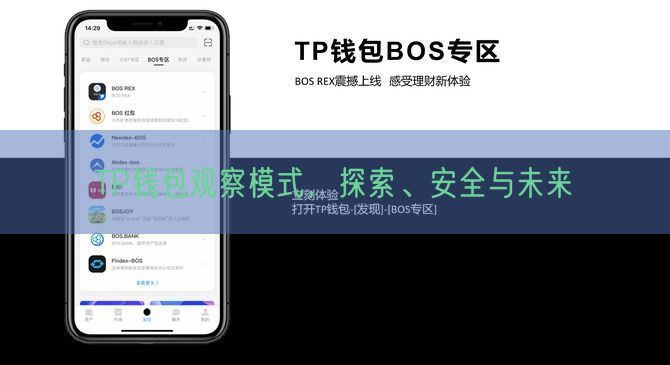 TP钱包观察模式，探索、安全与未来