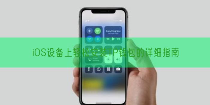 iOS设备上轻松安装TP钱包的详细指南