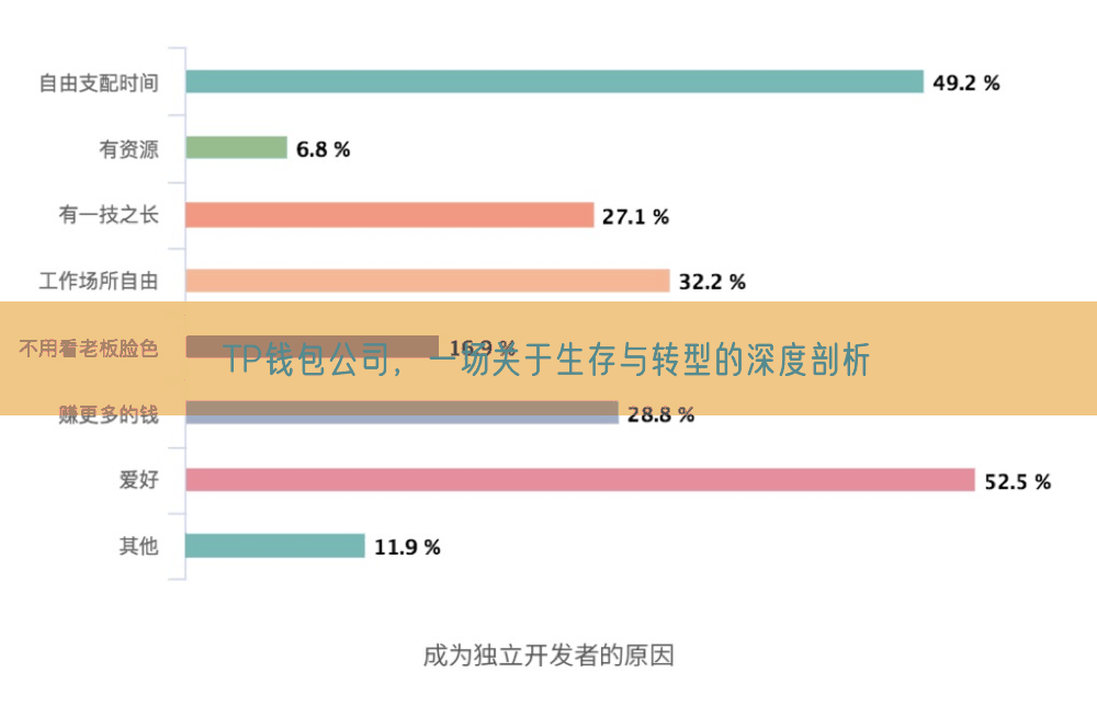 TP钱包公司，一场关于生存与转型的深度剖析