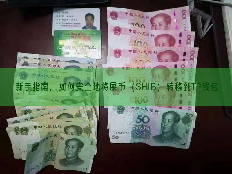 新手指南，如何安全地将屎币（SHIB）转移到TP钱包