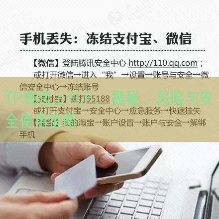 TP钱包上YLF，揭秘、风险与安全使用指南