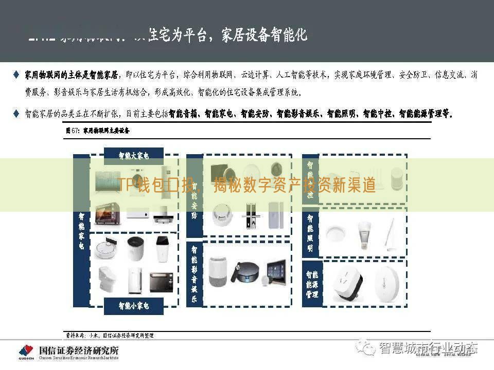 TP钱包口投，揭秘数字资产投资新渠道