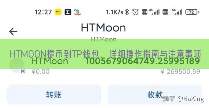 HTMOON提币到TP钱包，详细操作指南与注意事项