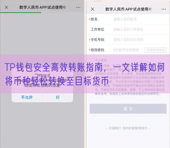 TP钱包安全高效转账指南，一文详解如何将币种轻松转换至目标货币