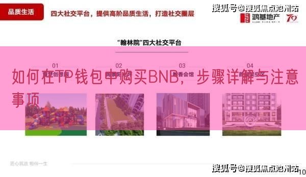 如何在TP钱包中购买BNB，步骤详解与注意事项