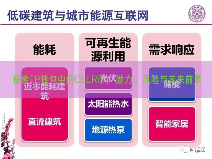 探索TP钱包中的CELR币，潜力、风险与未来前景