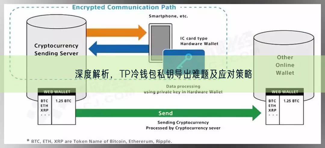 深度解析，TP冷钱包私钥导出难题及应对策略