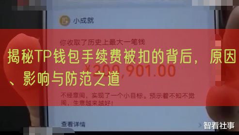 揭秘TP钱包手续费被扣的背后，原因、影响与防范之道